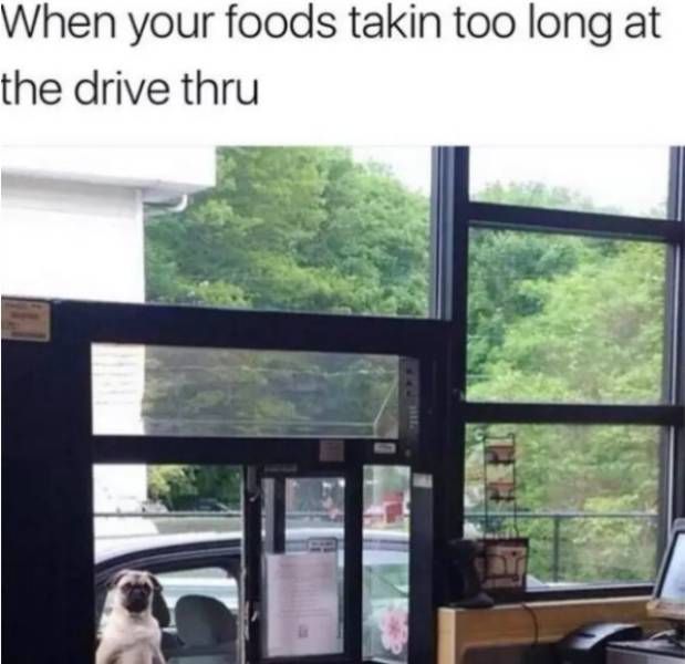 So True (41 pics)