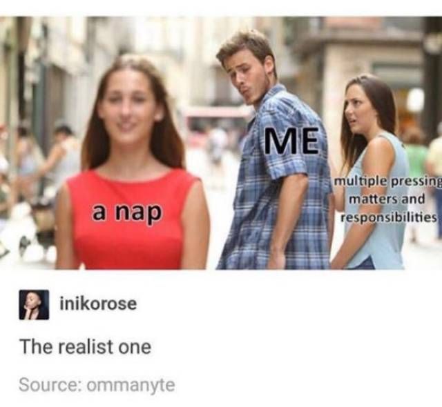 So True (41 pics)