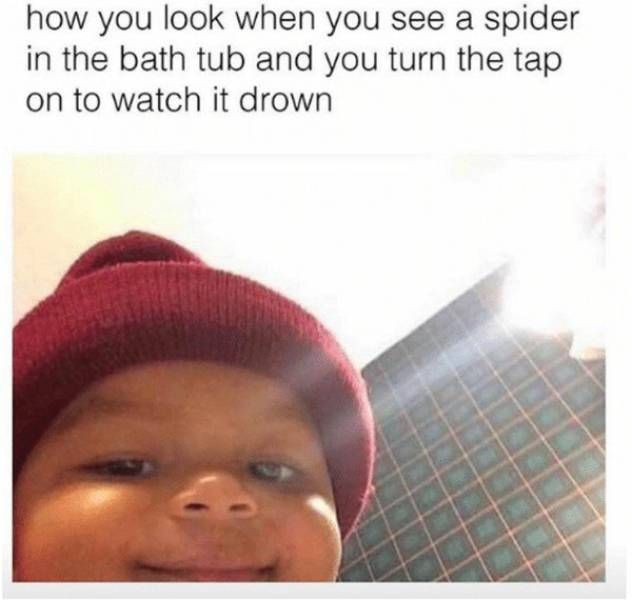 So True (41 pics)
