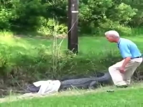 Catching an Alligator With Hands Gone Wrong