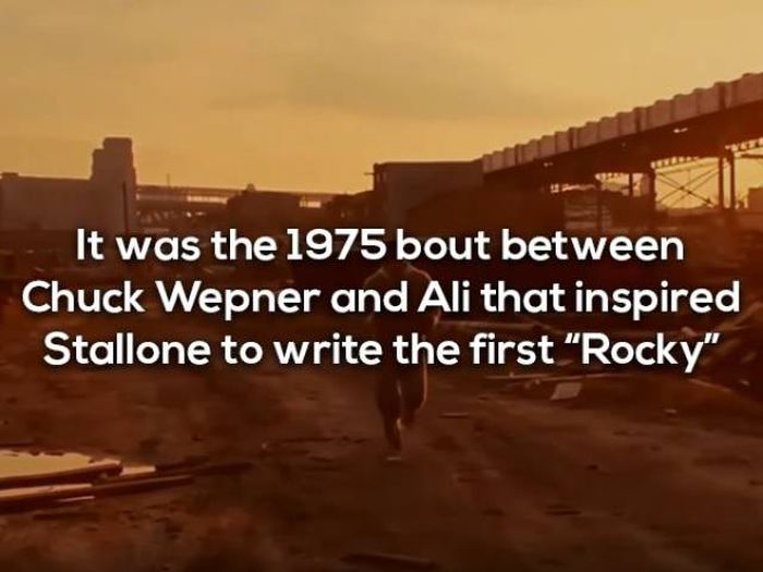 Facts About Rocky Movies (24 pics)