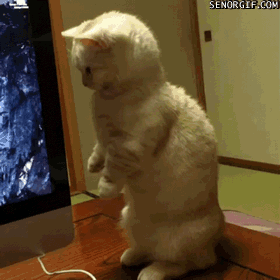 Acid Gifdump, September 19, 2017 (25 gifs)