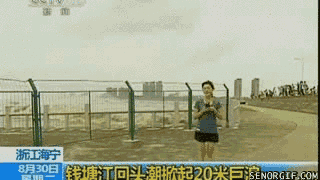 Acid Gifdump, September 19, 2017 (25 gifs)