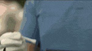 Acid Gifdump, September 19, 2017 (25 gifs)