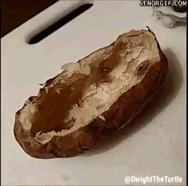 Acid Gifdump, September 19, 2017 (25 gifs)