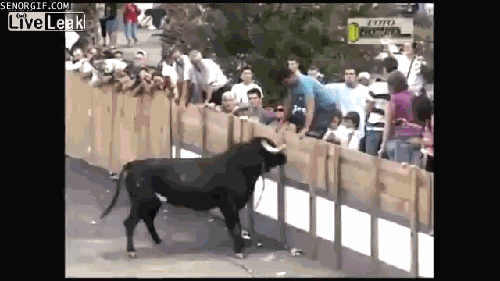 Acid Gifdump, September 19, 2017 (25 gifs)