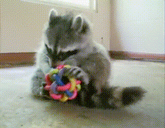 Acid Gifdump, September 19, 2017 (25 gifs)