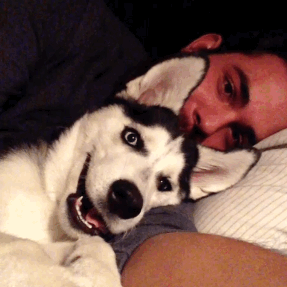 Acid Gifdump, September 19, 2017 (25 gifs)