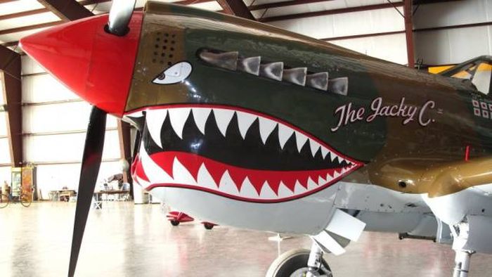 WW2 Pilots Knew What To Draw On Their Planes (46 pics)