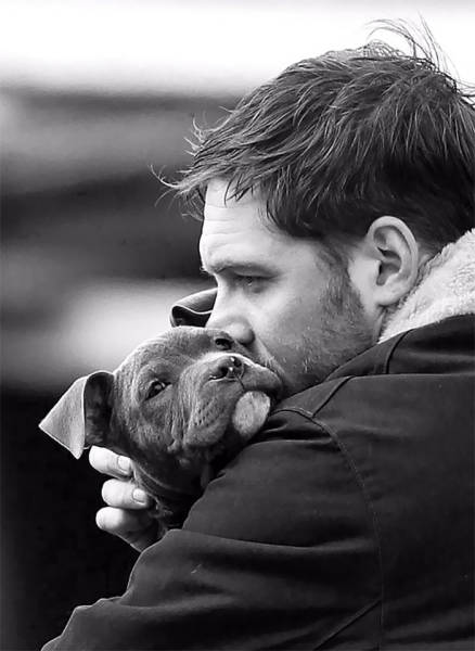 Tom Hardy Knows How To Melt Hearts All Over The Internet (31 pics)