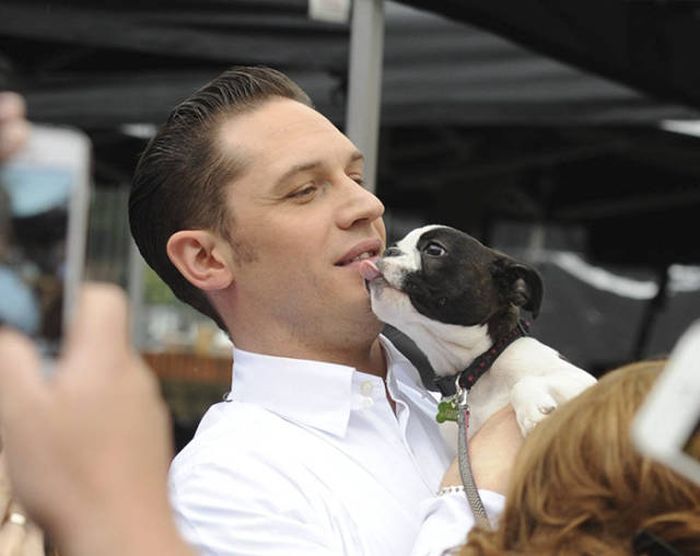 Tom Hardy Knows How To Melt Hearts All Over The Internet (31 pics)