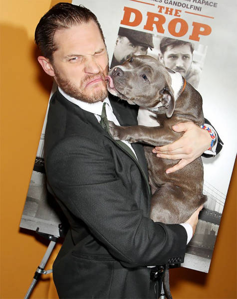Tom Hardy Knows How To Melt Hearts All Over The Internet (31 pics)