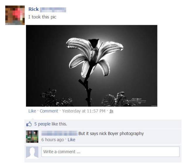 People On Facebook Always Deserve Their Revenge (33 pics)