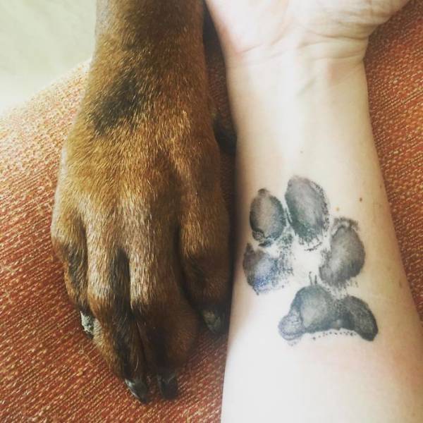 The Most Brilliant Way To Immortalize Your Dog Is To Get A Tattoo With Its Paw (39 pics)