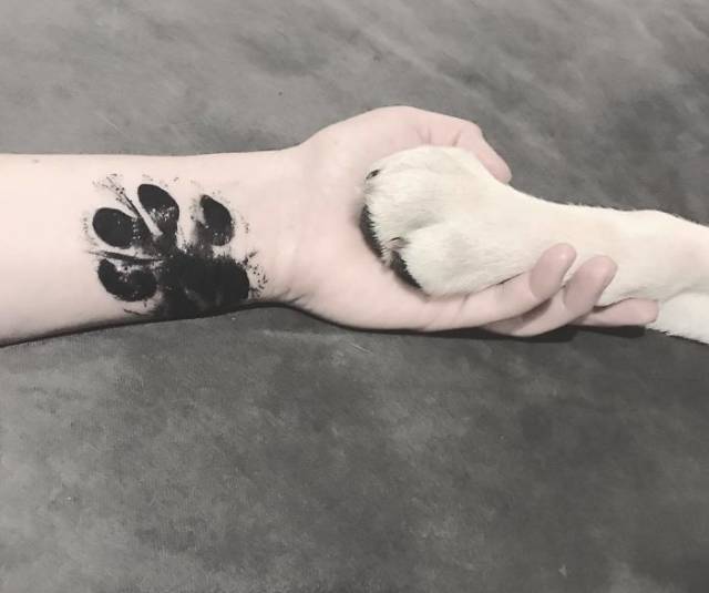 The Most Brilliant Way To Immortalize Your Dog Is To Get A Tattoo With Its Paw (39 pics)