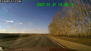 Times Sh*t Happened (19 gifs)