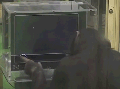 Acid Gifdump, September 22, 2017 (25 gifs)