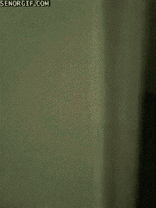 Acid Gifdump, September 22, 2017 (25 gifs)