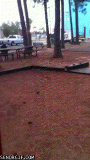 Acid Gifdump, September 22, 2017 (25 gifs)