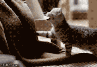 Acid Gifdump, September 22, 2017 (25 gifs)