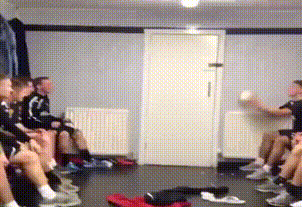 Acid Gifdump, September 22, 2017 (25 gifs)