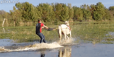 Acid Gifdump, September 22, 2017 (25 gifs)