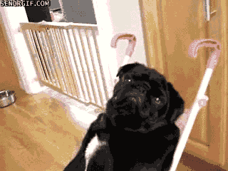 Acid Gifdump, September 22, 2017 (25 gifs)