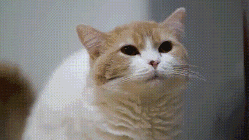 Acid Gifdump, September 22, 2017 (25 gifs)