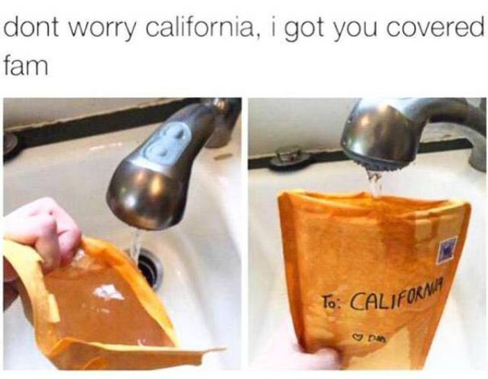 There Is A Meme For Every US State (42 pics)