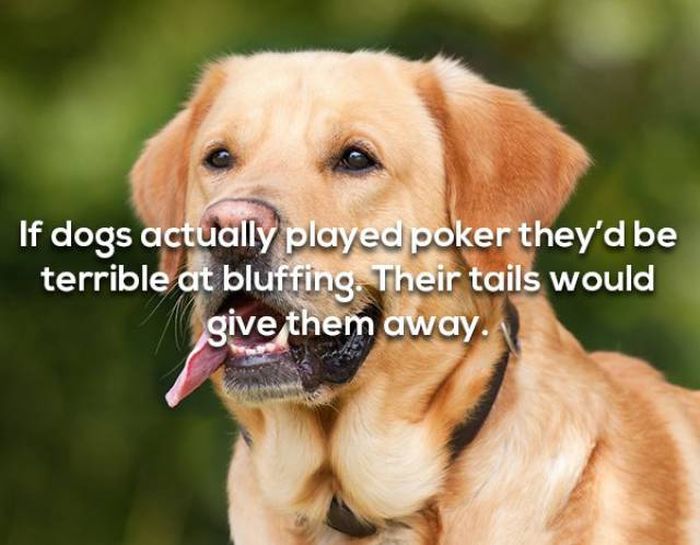 We Have Even More Shower Thoughts (19 pics)