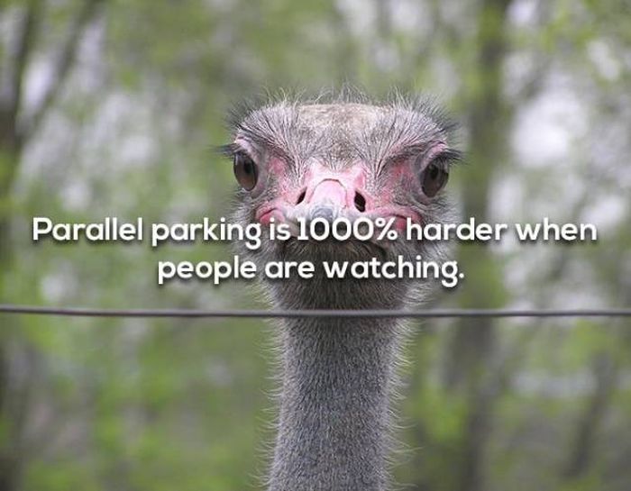 We Have Even More Shower Thoughts (19 pics)