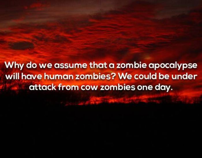 We Have Even More Shower Thoughts (19 pics)