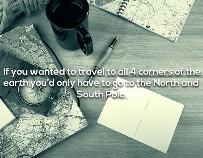 We Have Even More Shower Thoughts (19 pics)