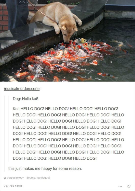 Hilarious Posts From Tumblr (35 pics)