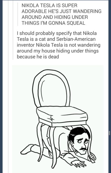 Hilarious Posts From Tumblr (35 pics)