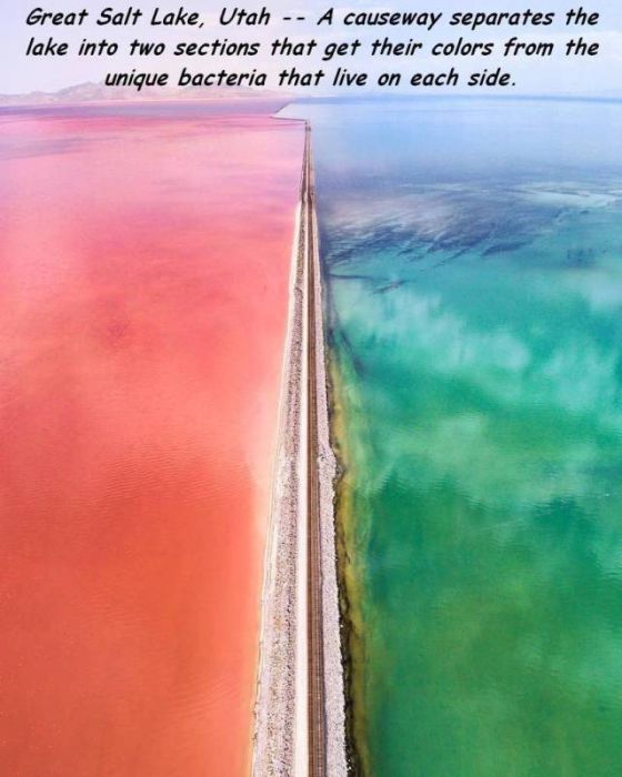 Acid Picdump (90 pics)