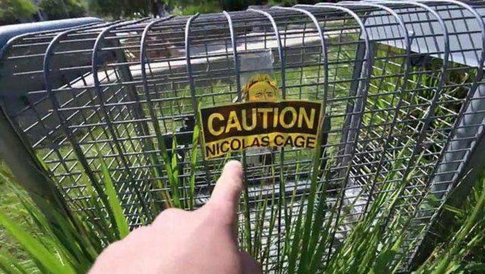 Acid Picdump (90 pics)