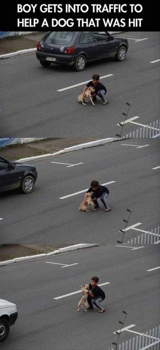Faith In Humanity Restored (36 pics)