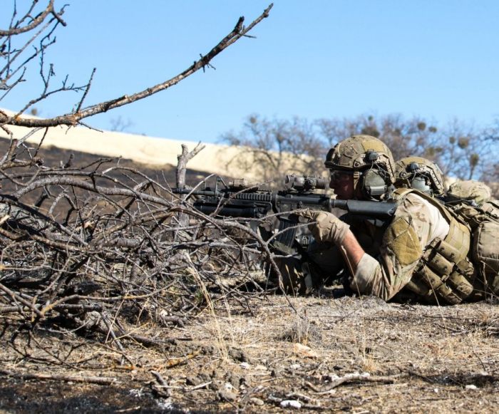 Photos Of Rangers (35 pics)