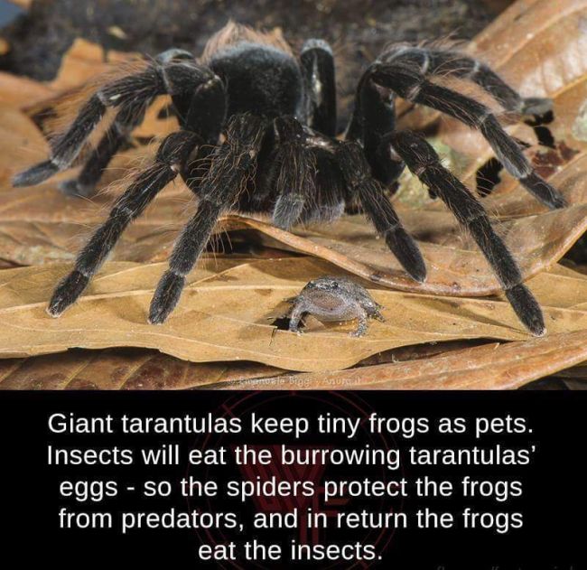 Very Interesting Photos (13 pics) Very Interesting Photos (13 pics)