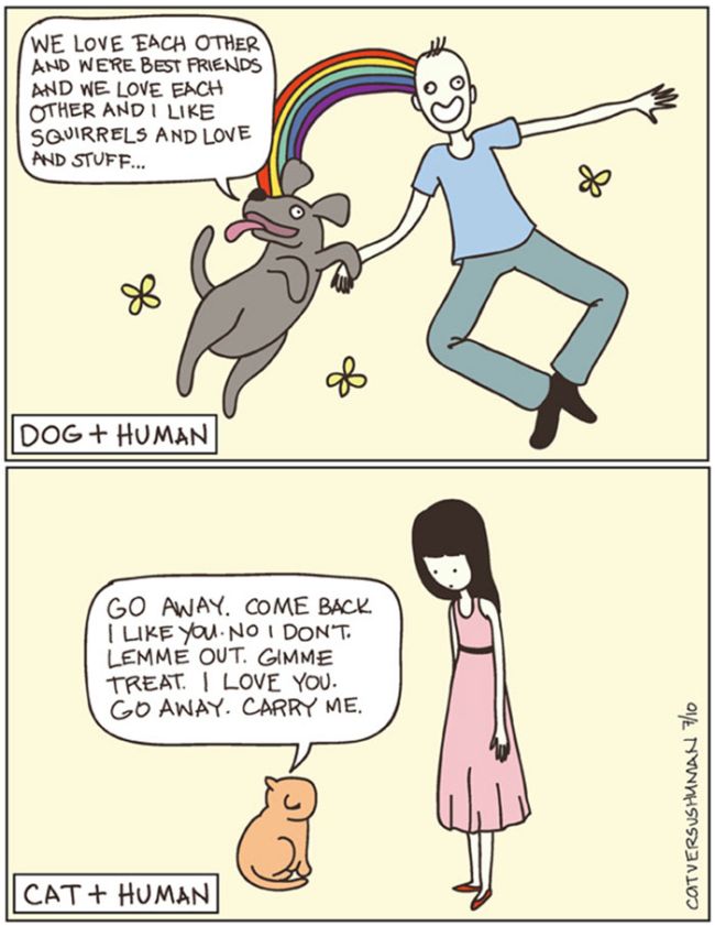 The Differences Between Cats And Dogs (25 pics)