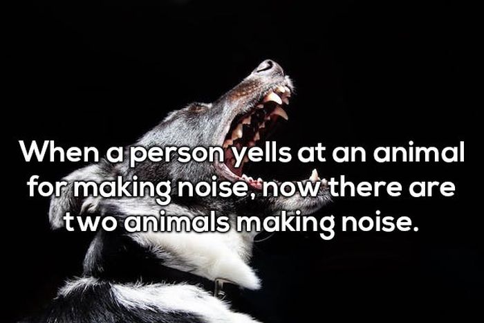 More Shower Thoughts (17 pics)
