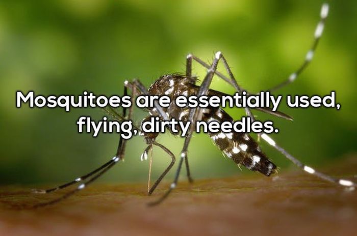 More Shower Thoughts (17 pics)
