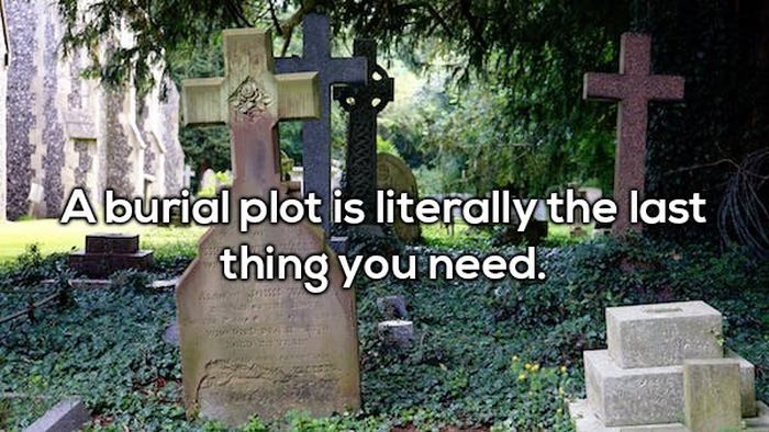 More Shower Thoughts (17 pics)