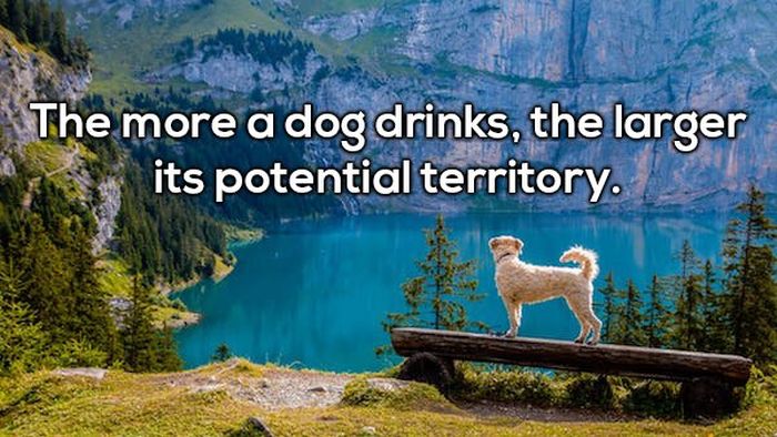 More Shower Thoughts (17 pics)