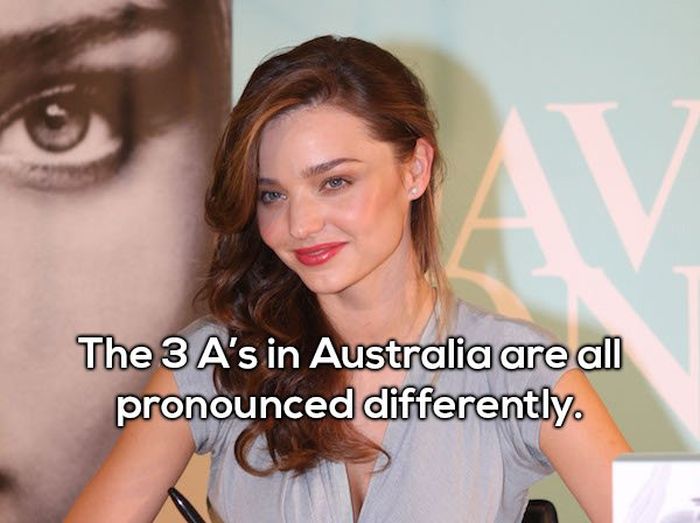 More Shower Thoughts (17 pics)
