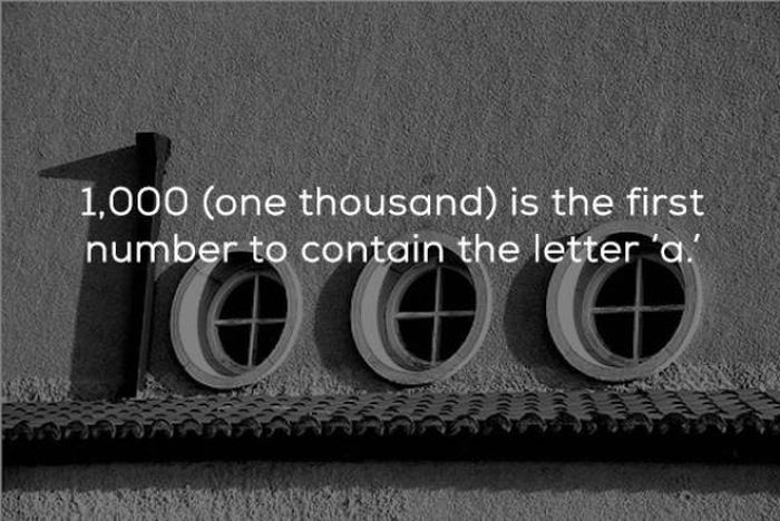 Interesting Facts (24 pics)