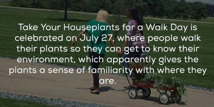 Interesting Facts (24 pics)