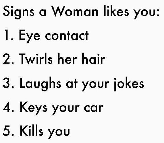 A Guide To Understanding The Female Species (26 pics)
