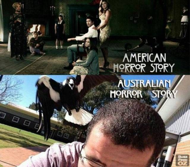 Australia Memes (28 pics)